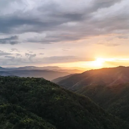 Zeleni Svet Crni Vrh