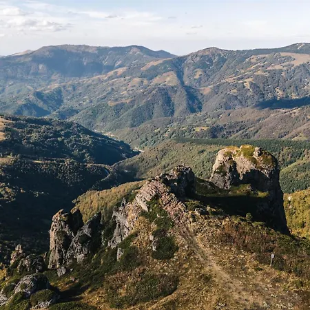 Zeleni Svet