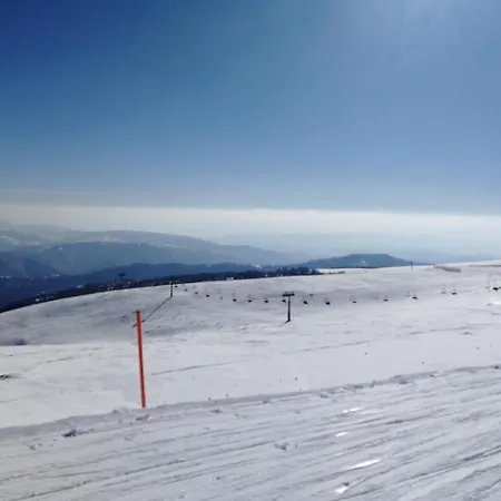 Zeleni Svet * Crni Vrh