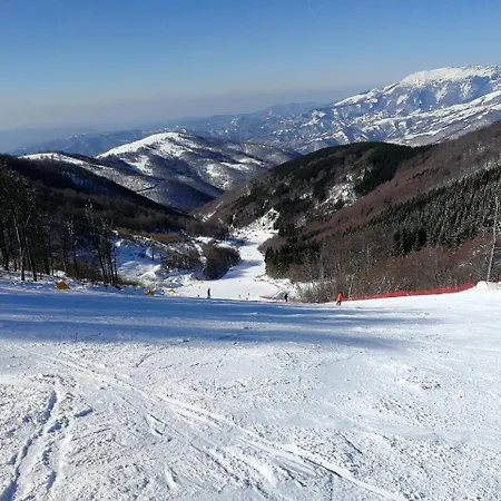 Деревянный коттедж Zeleni Svet