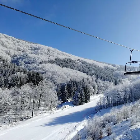 Деревянный коттедж Zeleni Svet