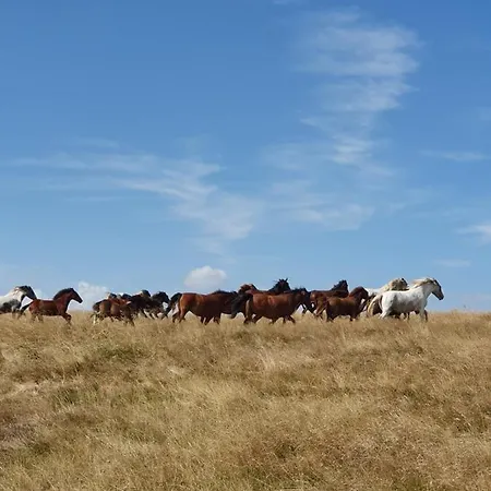 Zeleni Svet Деревянный коттедж *