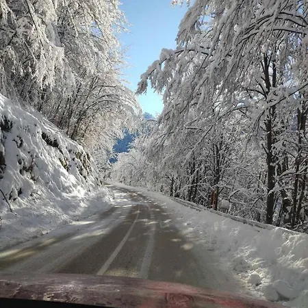 Деревянный коттедж Zeleni Svet Crni Vrh
